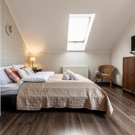 Zielona Owieczka Apartment