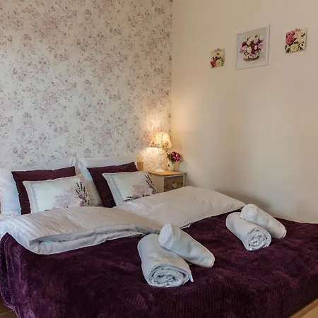 Zielona Owieczka Apartment *
