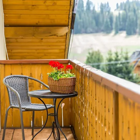 Apartment Zielona Owieczka