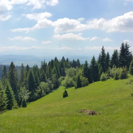 Zielona Owieczka * Niedzica Zamek